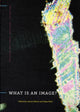 Book cover of: What Is an Image?. By: James Elkins