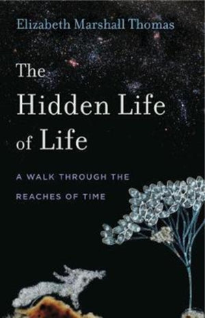Hidden Life of Life