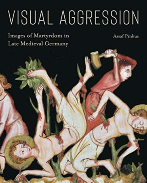 Book cover of: Visual Aggression. By: Assaf Pinkus