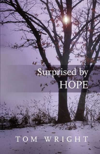 Surprised by Hope, Rethinking heaven, the resurrection and the mission of the Church 9780281064779 N. T. Wright