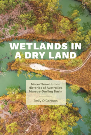 Wetlands in a Dry Land