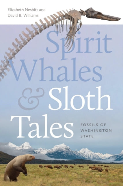 Book cover of: Spirit Whales and Sloth Tales. By: Elizabeth A. Nesbitt