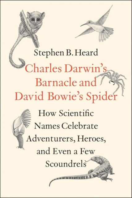 Book cover of: Charles Darwin's Barnacle and David Bowie's Spider. By: Stephen B. Heard Ph.D.