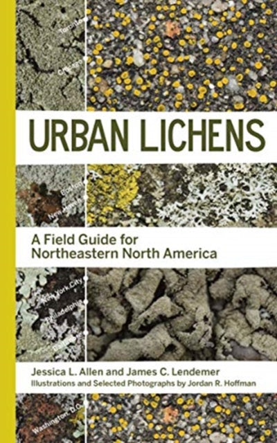 Book cover of: Urban Lichens. By: Jessica L. Allen