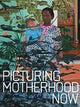 Book cover of: Picturing Motherhood Now. By: Emily Liebert
