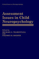 Book cover of: Assessment Issues in Child Neuropsychology
