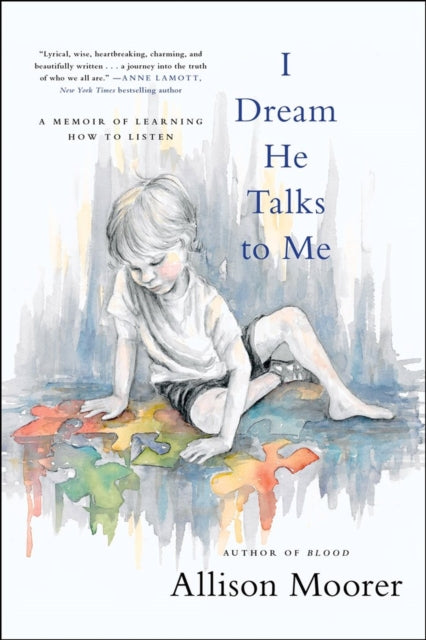 Book cover of: I Dream He Talks to Me. By: Allison Moorer