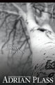 Book cover of: Silver Birches. By: Adrian Plass
