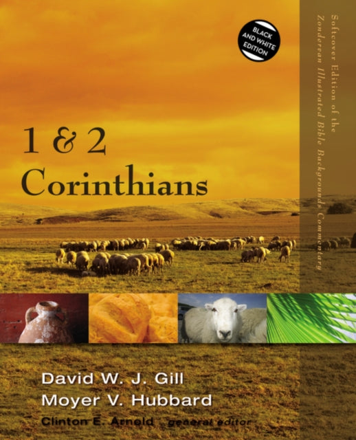 Book cover of: 1 and 2 Corinthians. By: David W. J. Gill