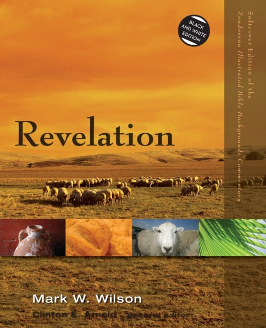 Book cover of: Revelation. By: Mark W. Wilson