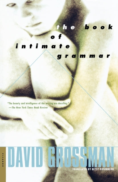 Book cover of: Book of Intimate Grammar
