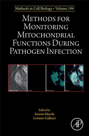 Methods for Monitoring Mitochondrial Functions During Pathogen Infection