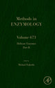 Book cover of: Helicase Enzymes Part B. By: Michael Trakselis