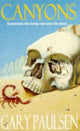 Book cover of: CANYONS. By: Gary Paulsen