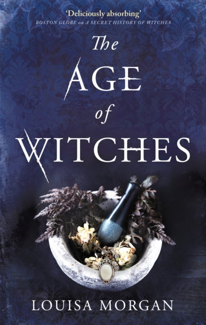 Book cover of: Age of Witches. By: Louisa Morgan