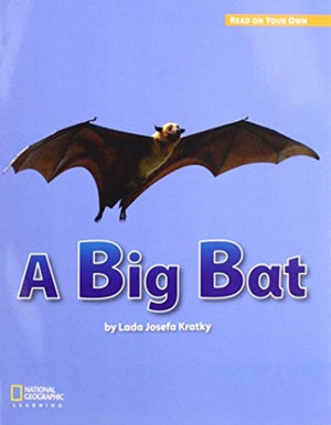 Royo Readers Level a a BIG BAT