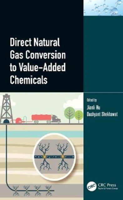 Book cover of: Direct Natural Gas Conversion to Value-Added Chemicals. By: Jianli Hu