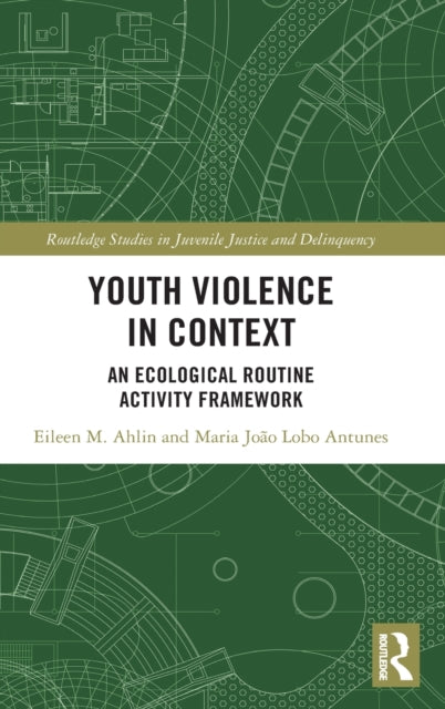 Book cover of: Youth Violence in Context. By: Eileen Ahlin