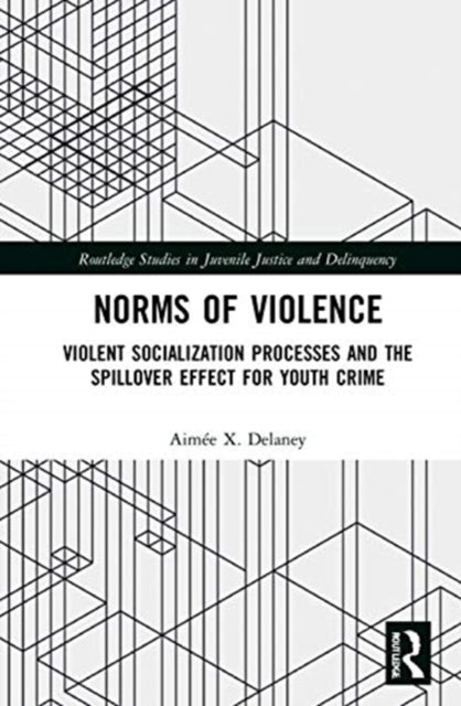 Book cover of: Norms of Violence. By: Aimee X. Delaney