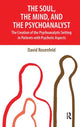 Book cover of: Soul, the Mind, and the Psychoanalyst. By: David Rosenfeld