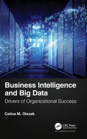 Business Intelligence and Big Data