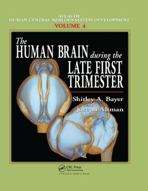 Book cover of: Human Brain During the Late First Trimester. By: Shirley A. Bayer