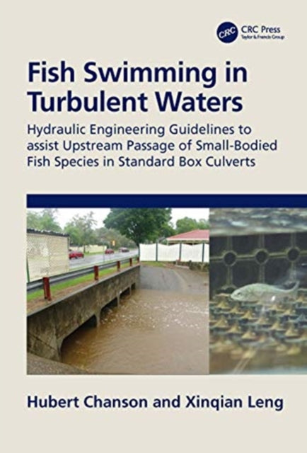 Book cover of: Fish Swimming in Turbulent Waters. By: Hubert Chanson