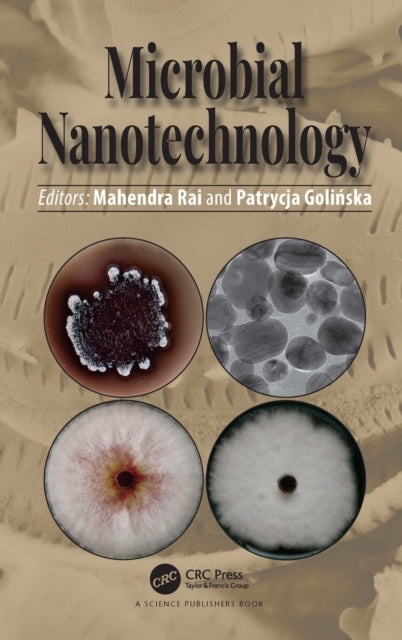 Book cover of: Microbial Nanotechnology. By: Mahendra Rai