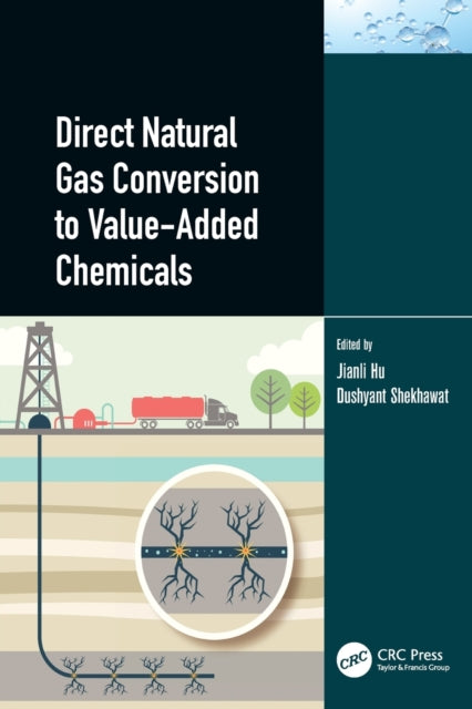 Book cover of: Direct Natural Gas Conversion to Value-Added Chemicals. By: Jianli Hu