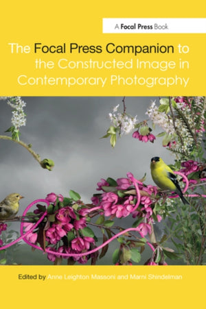 Focal Press Companion to the Constructed Image in Contemporary Photography