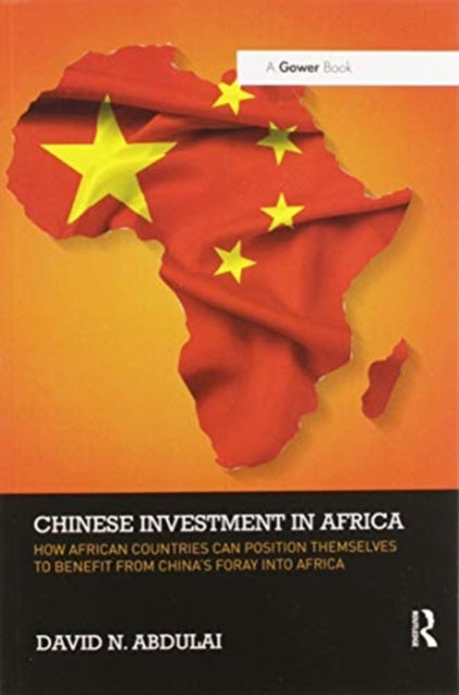 Book cover of: Chinese Investment in Africa