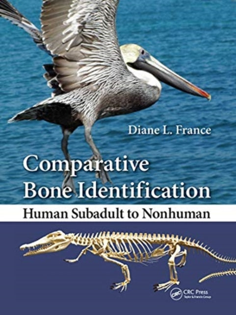 Book cover of: Comparative Bone Identification. By: Diane L. France