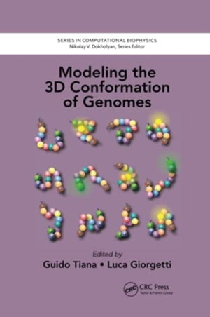 Modeling the 3D Conformation of Genomes