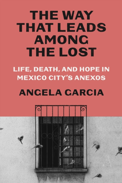 Book cover of: Way That Leads Among the Lost. By: Angela Garcia