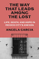 Book cover of: Way That Leads Among the Lost. By: Angela Garcia
