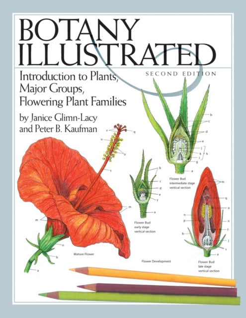Book cover of: Botany Illustrated. By: Janice Glimn-Lacy