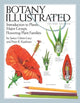 Book cover of: Botany Illustrated. By: Janice Glimn-Lacy