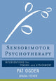 Book cover of: Sensorimotor Psychotherapy