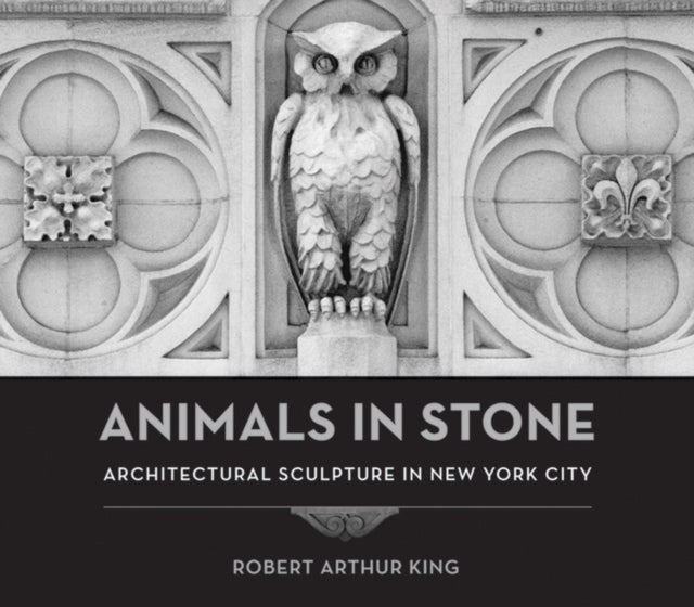 Book cover of: Animals in Stone. By: Robert Arthur King