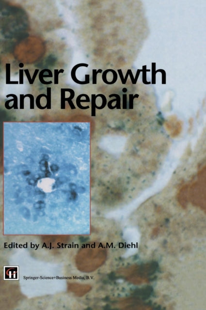 Book cover of: Liver Growth and Repair. By: A.J. Strain