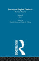 Book cover of: Survey Eng Dialects Vol3 Prt1