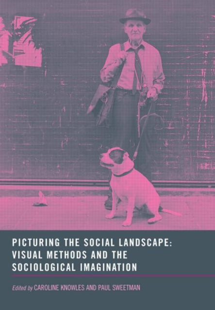 Book cover of: Picturing the Social Landscape