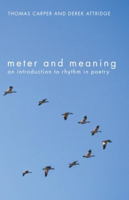 Book cover of: Meter and Meaning
