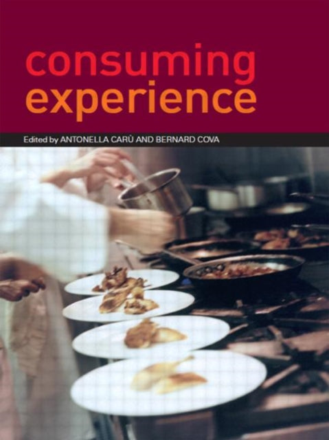 Book cover of: Consuming Experience