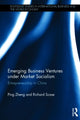 Book cover of: Emerging Business Ventures under Market Socialism. By: Ping Zheng