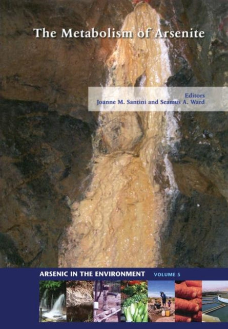 Book cover of: Metabolism of Arsenite. By: Joanne M. Santini