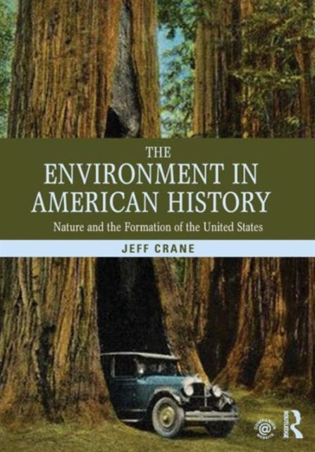 Book cover of: Environment in American History