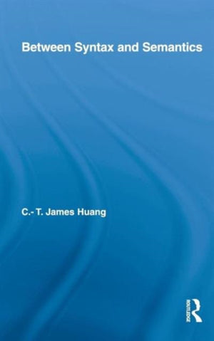 Between Syntax and Semantics