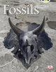 Book cover of: Bug Club Guided Non Fiction Year Two Gold A Fossils