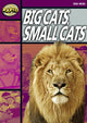 Book cover of: Rapid Reading: Big Cats Small Cats (Stage 1, Level 1A)